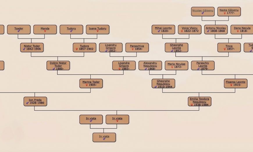 Arborele genealogic și cercetarea istoriei familiei Oradea in direct
